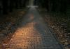 alley, park, lonely, trees, autumn, way, leaves, wooden, relax, alee, parc, toamna, frunze, relaxare, pustie, cale